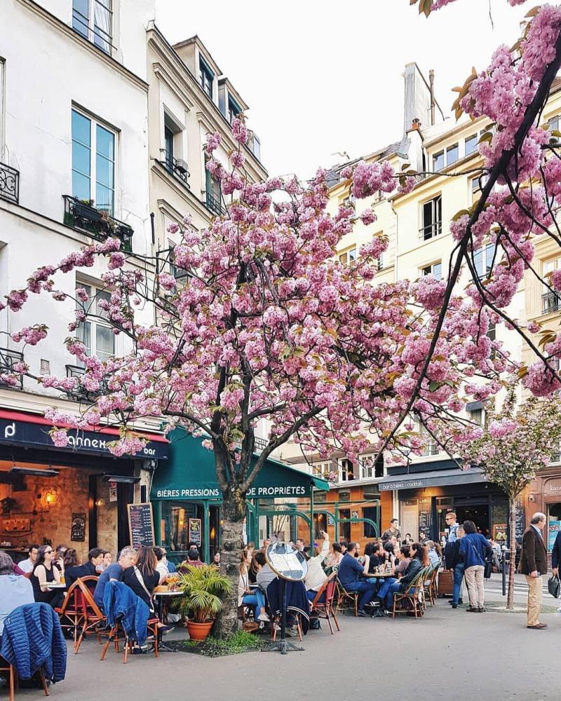 Mùa xuân ở Pháp
